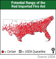 Red Imported Fire Ant Map